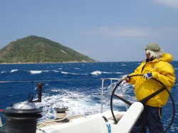 Photo of Nick Pekcan