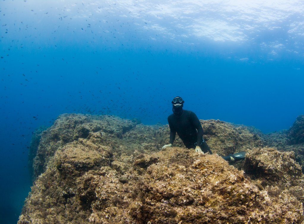 image of Freedive and Sail with William Winram