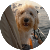 Merrill's First Mate