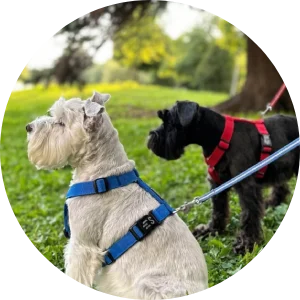 Polina's First Mates